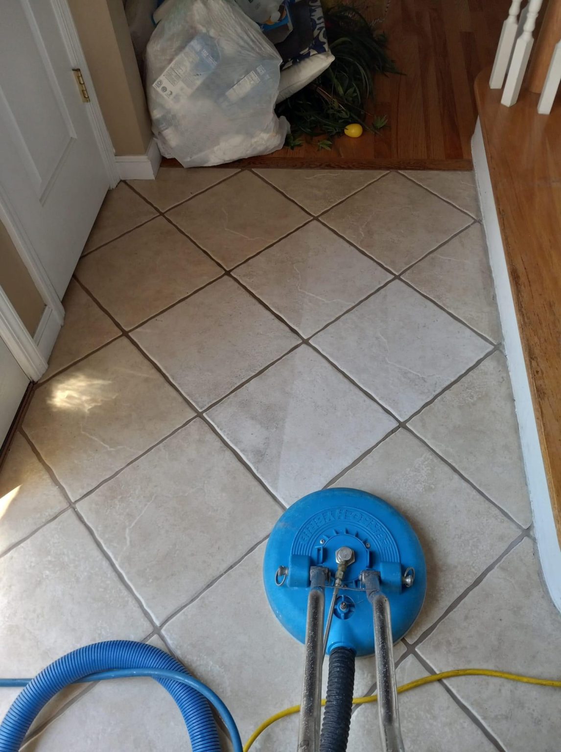 New Jerseys Best Carpet, Tile and Grout Cleaning New Jersey's Best